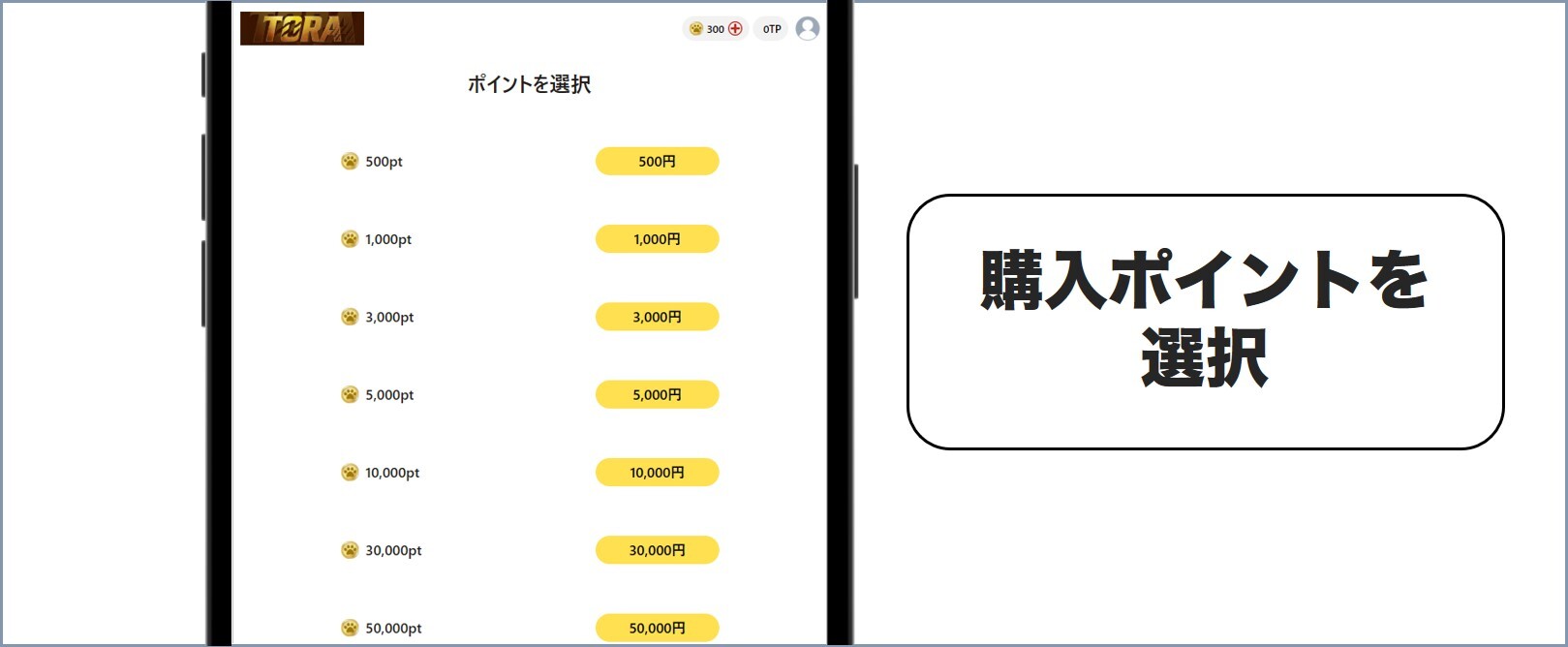 TORA料金画面