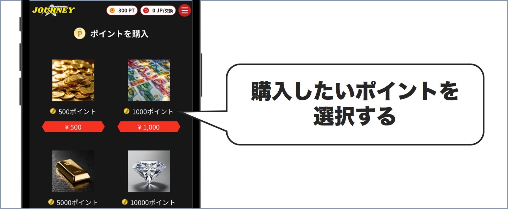 購入したいポイントを選択する