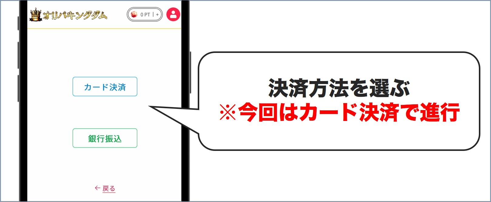 決済方法 オリパキングダム