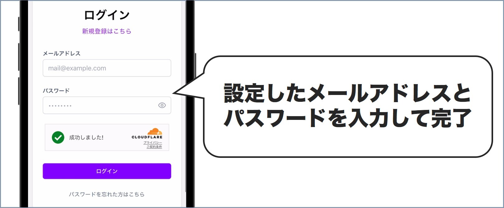 設定を入力 オリパシティ