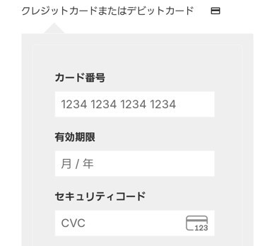CLEVERオリパの支払い方法はクレカのみ