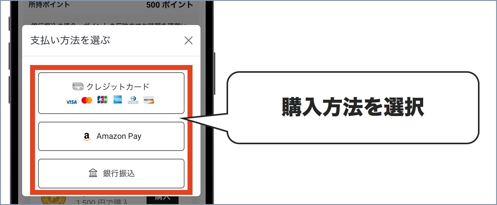 オリパスターポイント購入方法3
