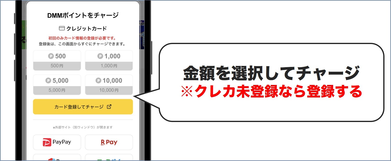 Dオリパ支払い2